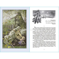 Книга "Школьная библиотека. Сын полка" 160стр. Катаев В.П. 978-5-9781-1075-3 от магазина "Карандаш"