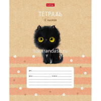 Тетрадь А5 12л косая линия "Кошарики" на скобе с доп.горизонтальной линией 5 дизайнов 074333 от магазина "Карандаш"