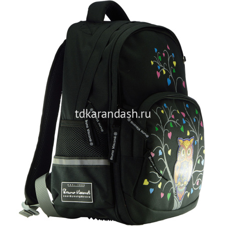 Рюкзак "Сова" 30х40х19см, 800гр, 2 отделения, 3 кармана, черный 12-002/35 от магазина "Карандаш"