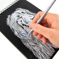 Альбом с гравюрами 14х20см 10л. "Собаки" (в комплекте пластиковый штихель) GHPB-09 от магазина "Карандаш"