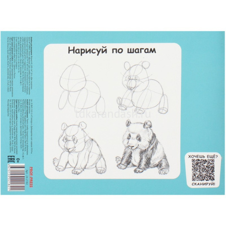 Альбом для рисования А5 24л "Две пандочки" на скобе, обложка мелованный картон 24-2182 от магазина "Карандаш"