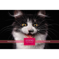 Пазлы 500 эл. "Premium. Legend ZooStyle. Улыбайся!" 48х33см с постером 071315 от магазина "Карандаш"