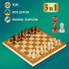 Шахматы, шашки, нарды 3 в 1, 39х39см (фигуры дерево, доска дерево) BJ6949 от магазина "Карандаш"