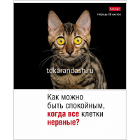 Тетрадь А5 48л клетка "Котоюмор" на скобе 5 дизайнов 079790 от магазина "Карандаш"
