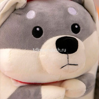 Акула 55см с хаски, с пледом внутри XM24866 от магазина "Карандаш"