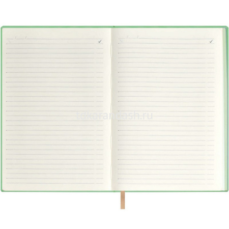 Ежедневник недатированный А5 "Escalada. Земля" 240стр., искусственная кожа "Наппа" 64012 от магазина "Карандаш"