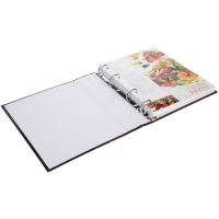 Книга для записи кулинарных рецептов А5 80л "Давайте приготовим" на кольцах 7БЦ 5цвет.разделитель 07 от магазина "Карандаш"