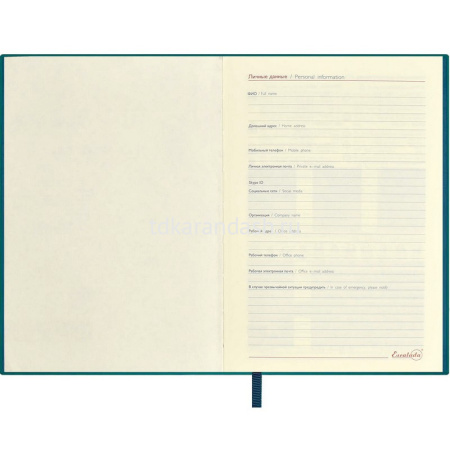 Ежедневник недатированный А6+ "Escalada" 320стр., морская волна, искусственная кожа софт-тач 64029 от магазина "Карандаш"