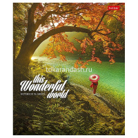 Тетрадь А5 96л линия "Удивительный мир" на скобе 5 дизайнов 96Т5В2/063258 от магазина "Карандаш"