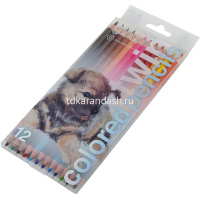 Карандаши 24 цвета "Twin. Щенок" 12шт. двусторонние шестигранные дерево, картон 30-0080/01 от магазина "Карандаш"