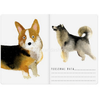 Тетрадь А5 40л клетка "Планета собак" прошитый блок матовая ламинация 7-40-116 от магазина "Карандаш"