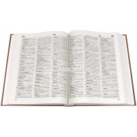 Толковый словарь русского языка: 100000 слов, терминов и фразеол.выражений 736стр. Ожегов С.И. от магазина "Карандаш"