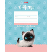 Тетрадь А5 12л линия "Кошарики" на скобе 5 дизайнов 074360 от магазина "Карандаш"