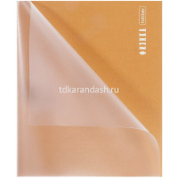 Тетрадь А5 48л клетка Физика "PROстиль" на скобе пластиковая обложка 085425 от магазина "Карандаш"