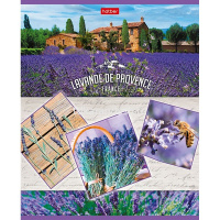 Тетрадь А5 96л клетка "Лавандовые сны" на скобе 5 дизайнов 080267 от магазина "Карандаш"