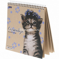 Скетчбук А5 20х20см 30л 170г/м2 "Котенок в веночке" евроспираль, крафт, жесткая подложка 072409 от магазина "Карандаш"