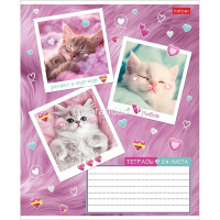 Тетрадь А5 24л клетка "Мяу-статусы" на скобе 5 дизайнов 24Т5В1/091442 от магазина "Карандаш"