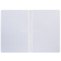 Тетрадь А4 96л клетка "Знают все" на спирали, перфорация на отрыв, ламинация Soft-touch 2 дизайна от магазина "Карандаш"