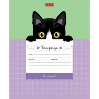 Тетрадь А5 12л крупная клетка "Поиграй со мной" на скобе 5 дизайнов 12Т5В8/074112 от магазина "Карандаш"