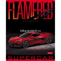 Тетрадь А5 48л линия "REDsupercar" на скобе 5 дизайнов 073125 от магазина "Карандаш"