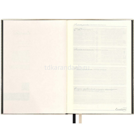 Ежедневник недатированный А5 "Escalada" 320стр., бежевый металлик, искусственная кожа софт-тач 63995 от магазина "Карандаш"