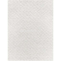 Папка д/акварели А3 10л 200г/м2 100% целлюлоза "Ольга" белая бумага 5л, слоновая кость 5л П-5552 от магазина "Карандаш"