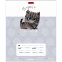 Тетрадь А5 12л клетка "Кошарики" на скобе 5 дизайнов 12Т5В1/074359 от магазина "Карандаш"