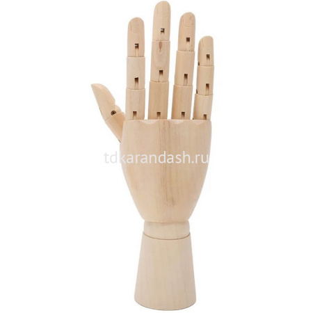 Рука высота 30см, правая, дерево Y10723-24 от магазина "Карандаш"