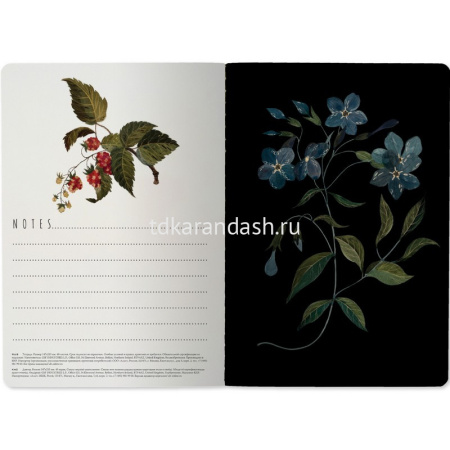 Тетрадь А5 40л клетка "Flora. Лесные ягоды" прошитый блок матовая ламинация Soft Touch 7-40-001/169 от магазина "Карандаш"