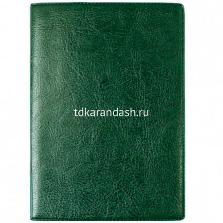 Бумажник для автодокументов и паспорта 9,5х13,2см зеленый 2812.АП-208