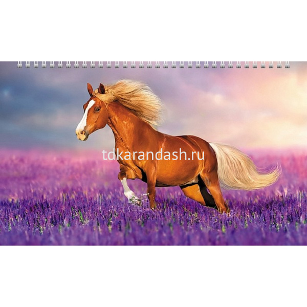 Календарь квартальный 2026 "Год Лошади" 320х840мм настенный трехблочный, с бегунком 5 постеров 09164 от магазина "Карандаш"