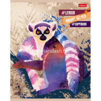 Тетрадь А5 96л клетка "Яркий мир" на скобе фольга, выборочный лак, 5 дизайнов 96Т5фвмВ1/057314 от магазина "Карандаш"