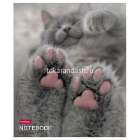 Тетрадь А5 48л клетка "Розовые лапки" на скобе 5 дизайнов 48Т5В1/090370 от магазина "Карандаш"