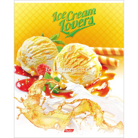 Тетрадь А5 48л клетка "Ice cream lovers" на скобе 3D лак матов. ламинация 5 дизайнов 48Т5олВ1/047158 от магазина "Карандаш"