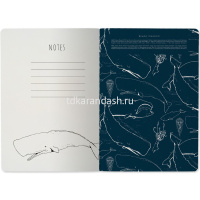 Тетрадь А5 40л клетка "Обитатели моря" прошитый блок матовая ламинация 7-40-001/136 от магазина "Карандаш"