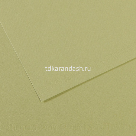 Бумага д/пастели А4 160г/м2 зеленый светлый (хлопок 50%) №480 Mi-Teintes 31032S022