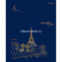 Тетрадь А5 48л клетка "Romantic cats" на скобе 3D фольга матовая ламинация 5 дизайнов 072933 от магазина "Карандаш"