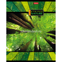 Тетрадь А5 96л линия "Полосатый мир" на скобе 96Т5В2/042678 от магазина "Карандаш"