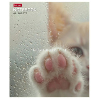 Тетрадь А5 48л клетка "Розовые лапки" на скобе 5 дизайнов 48Т5В1/090370 от магазина "Карандаш"