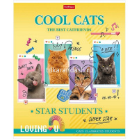 Тетрадь А5 48л клетка "Классные коты" на скобе 5 дизайнов 48Т5В1/086191 от магазина "Карандаш"