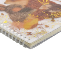 Тетрадь А5 60л клетка "Любовь, как она есть" на спирали, обложка полипропилен, фольга 7-60-1268/09 от магазина "Карандаш"