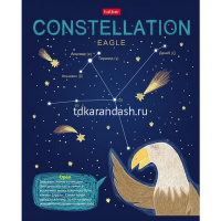 Тетрадь А5 48л клетка "Приходи считать звезды" на скобе 3D фольга матов. ламинация 5 дизайнов 067491 от магазина "Карандаш"