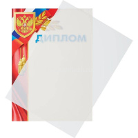 Обложка для переплета 10 листов A4 200мкм пластик прозрачный от магазина "Карандаш"