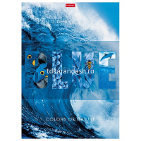 Тетрадь А4 96л клетка "Гармония цвета" на скобе выборочный лак 3 дизайна 082986 от магазина "Карандаш"