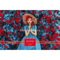 Пазлы 500 эл. "Premium. Legend Impression. Девушка в голубом" 48х33см с постером 071309 от магазина "Карандаш"