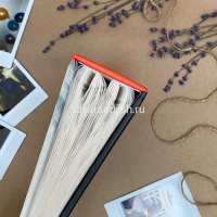 Фотоальбом 100 фото 10*15см "Travel traces. Лондон" 16,5х13х5см FA 100.020-1 от магазина "Карандаш"