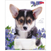 Тетрадь А5 12л клетка "Любимцы" на скобе 5 дизайнов 12Т5В1/033752 от магазина "Карандаш"