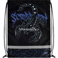 Сумка для сменной обуви "Скорпион" 48х36см 1 отделение, сублимационная печать 66196 от магазина "Карандаш"