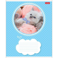 Тетрадь А5 18л линия "Котята" на скобе 5 дизайнов 18Т5В2/012312 от магазина "Карандаш"