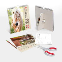 Календарь-домик 2026 "Год Лошади" 160х170мм с открытками, перекидной с ригелем 092008 от магазина "Карандаш"